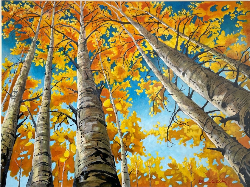 Aspiring Aspens 