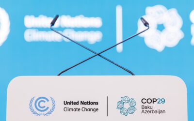 The global carbon market, climate money and methane emissions: An overview of COP29